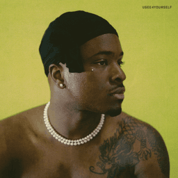 Album art for USEE4YOURSELF